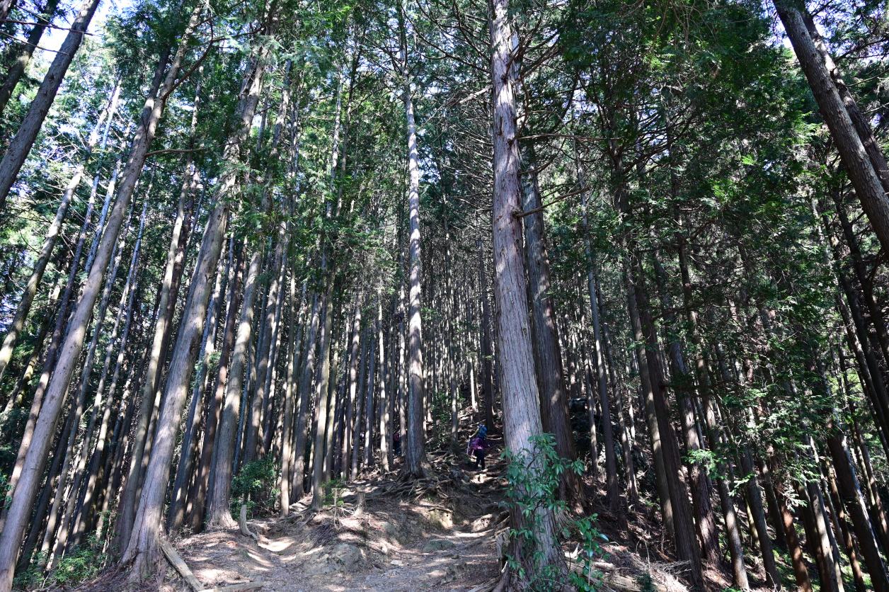 高水三山