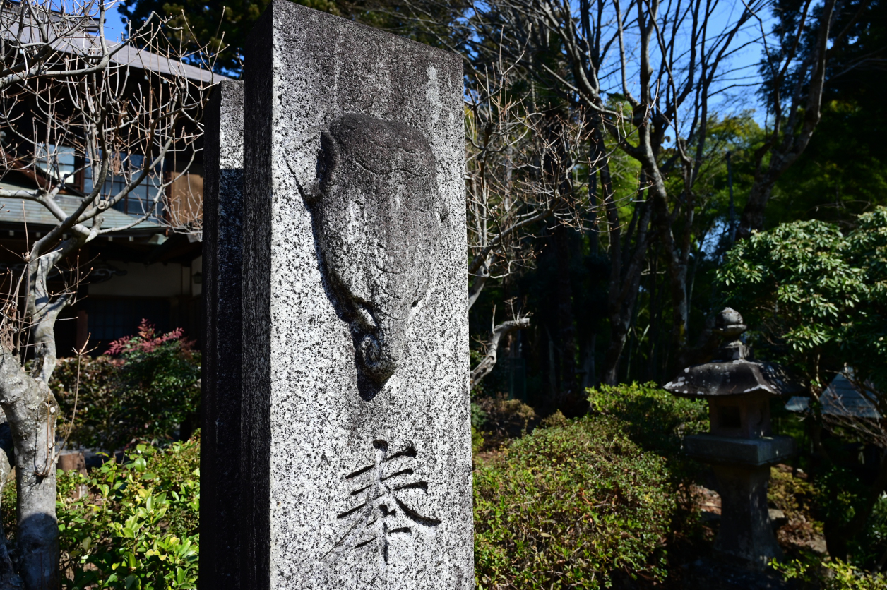 常福院の象