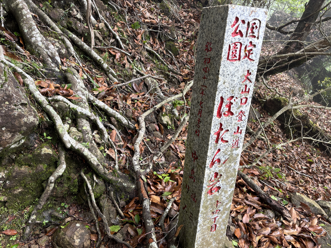 ボタン岩