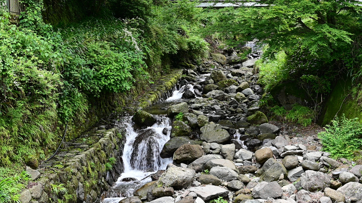丹沢の大山
