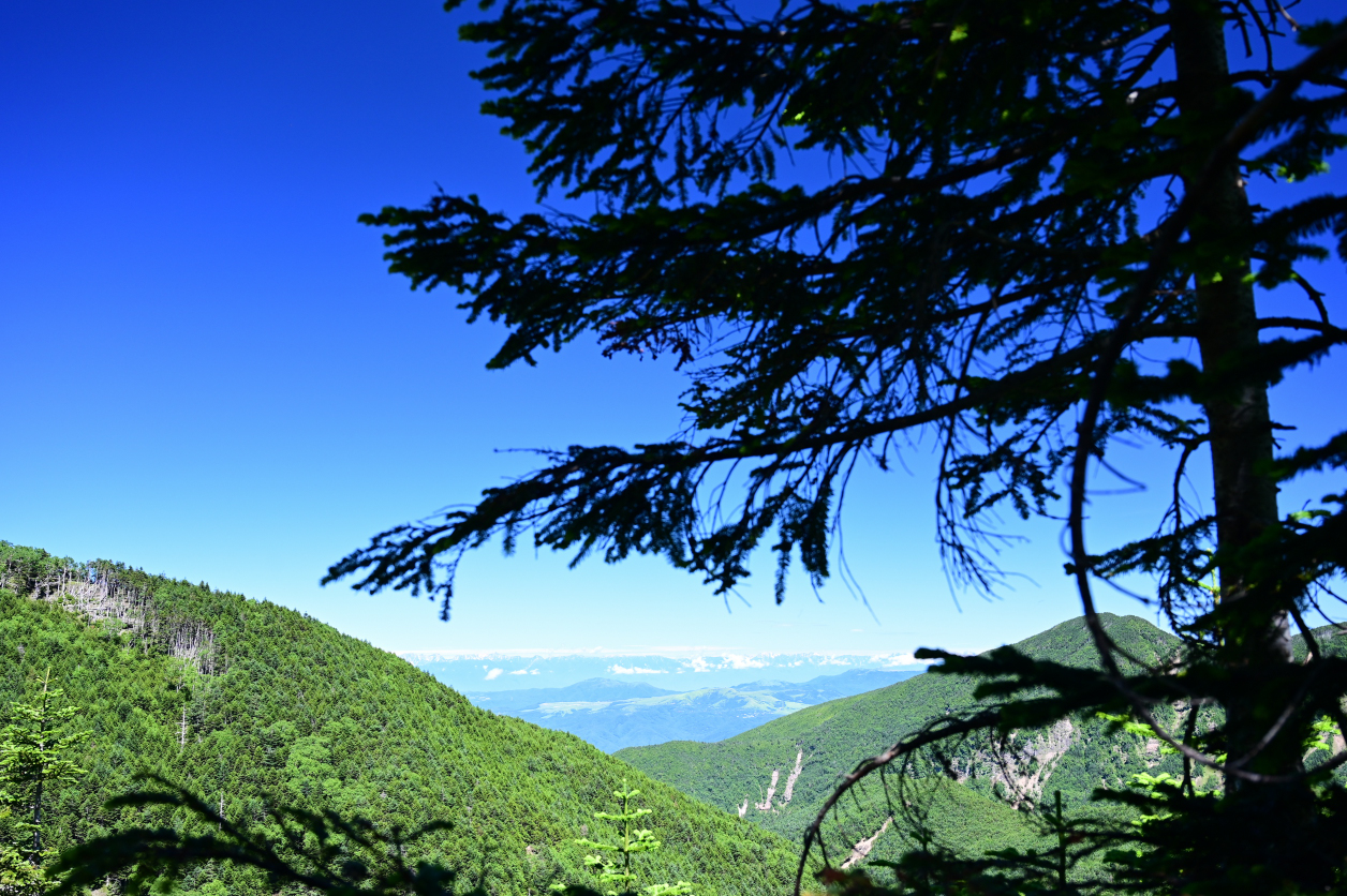 赤岳