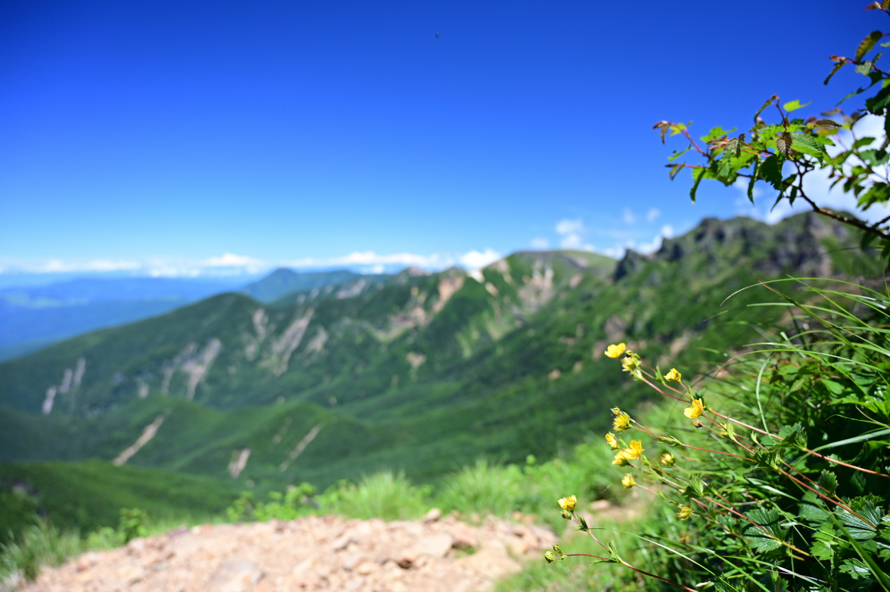 赤岳