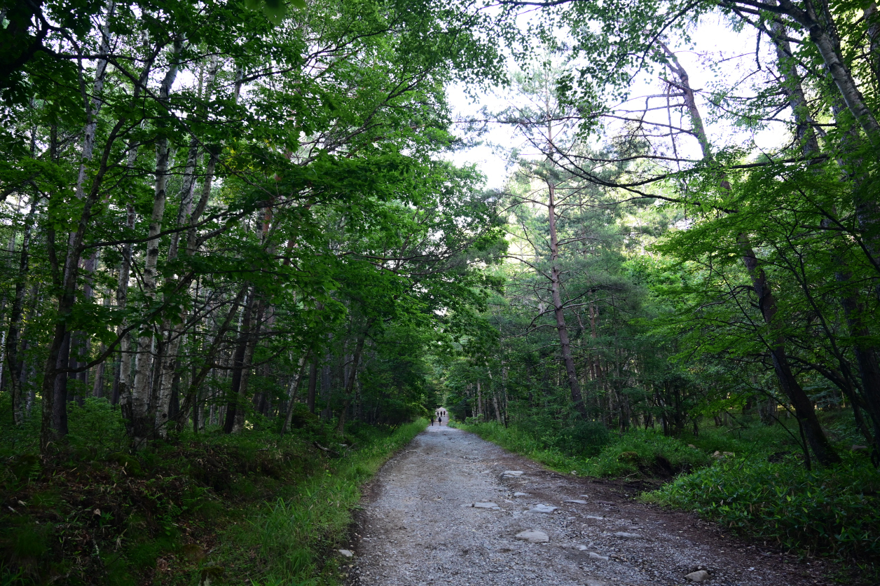 八ヶ岳
