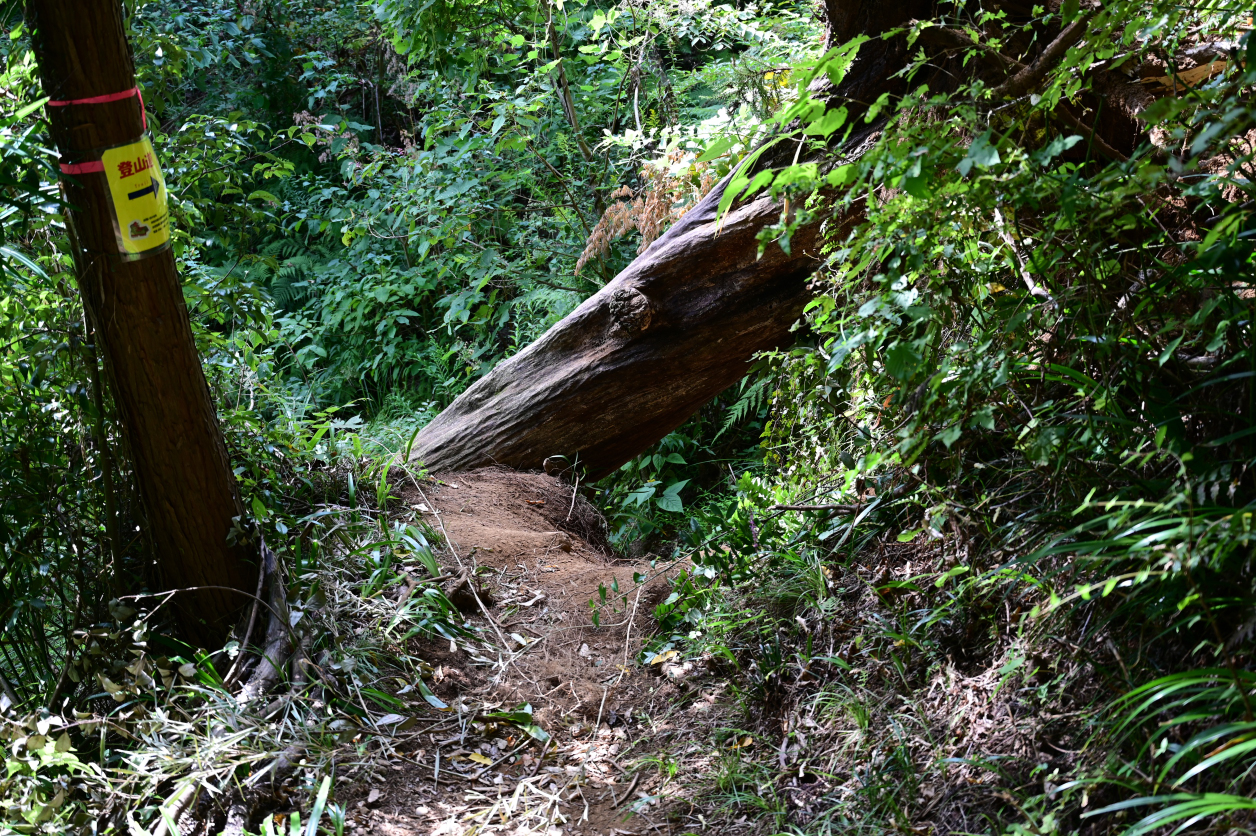 石老山