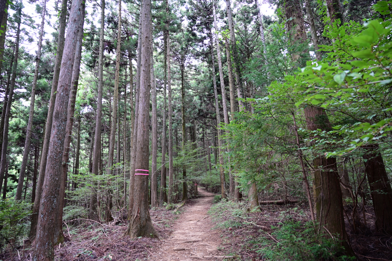 石老山