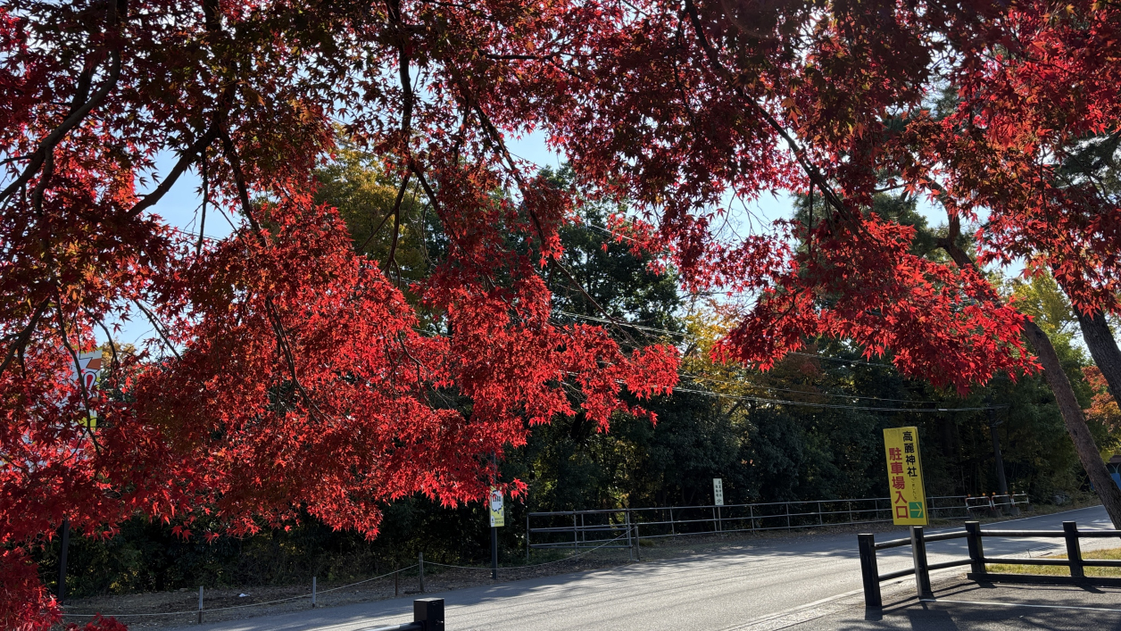 高麗神社