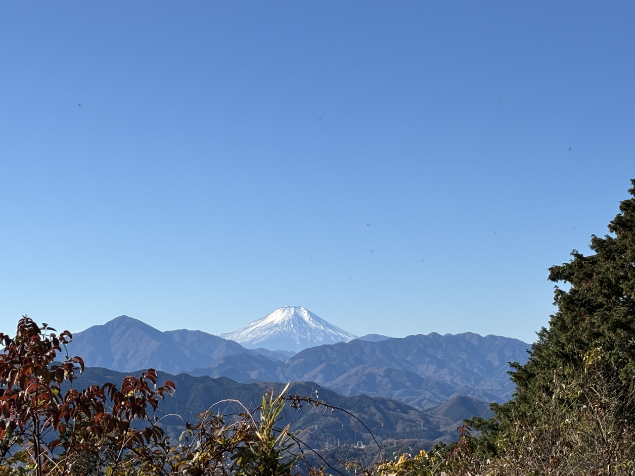 高尾山