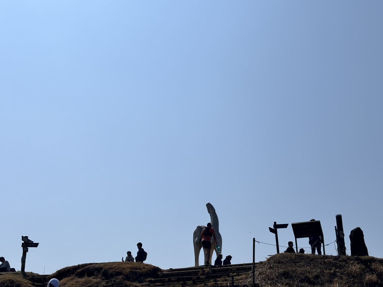 陣馬山山頂