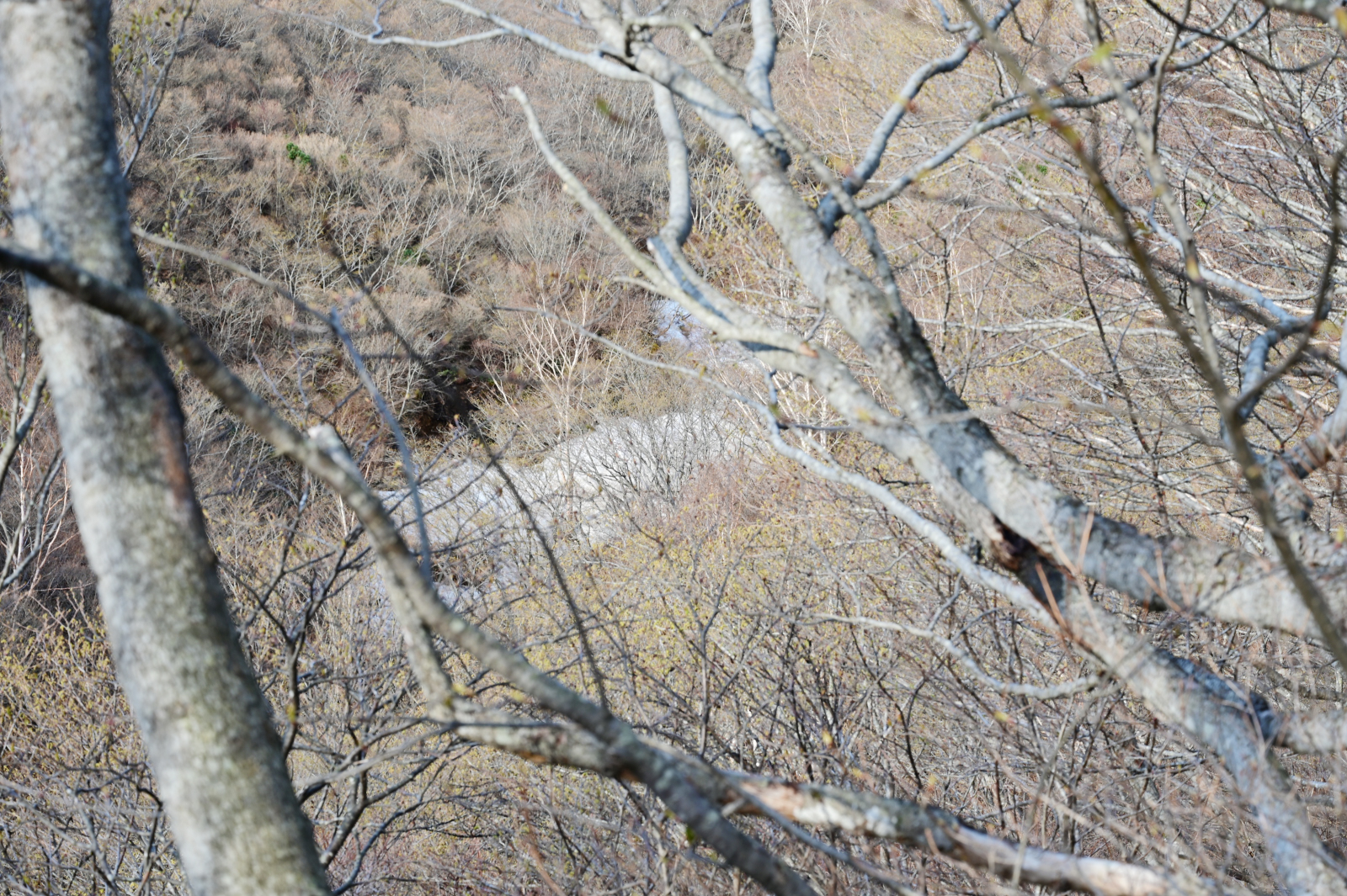 那須岳