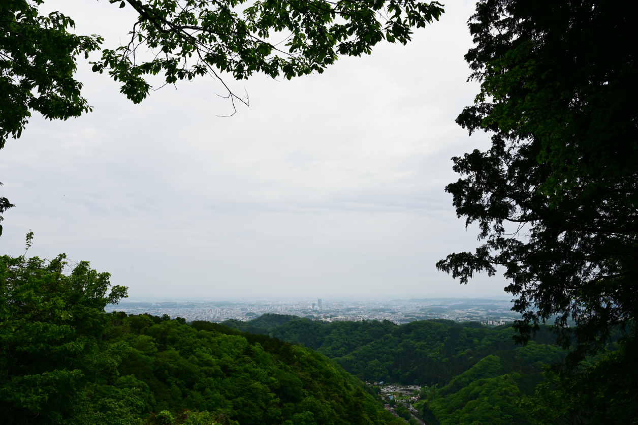 高尾山2026