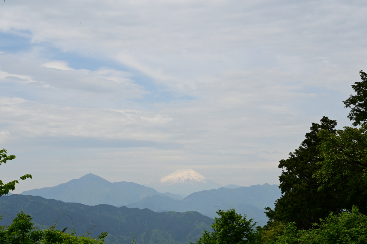 高尾山2026